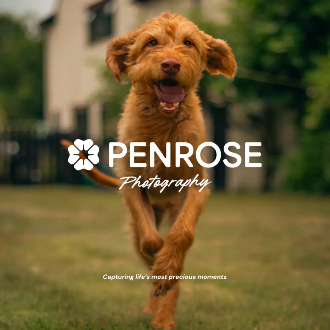 Logo design for a photographer based in the UK