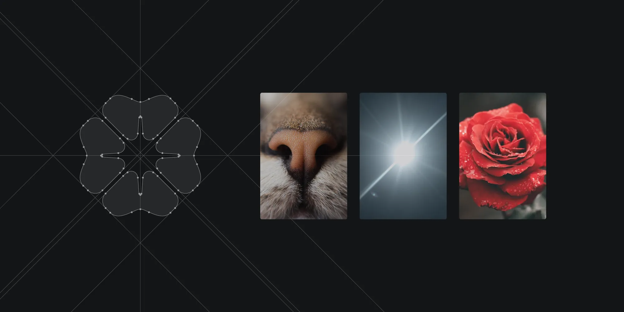 Logo icon brand design for a photographer